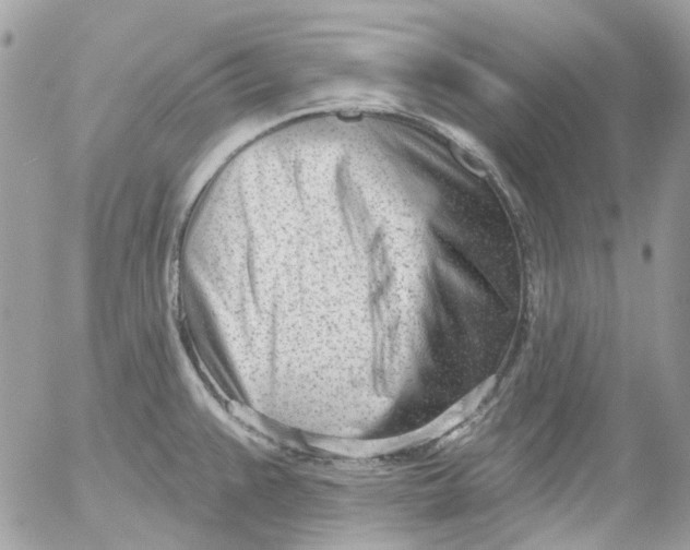 X0000052541383200507221415