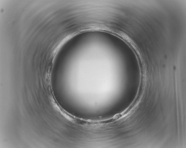 X0000052541385200507221415