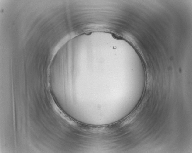 X0000052541386200507221415