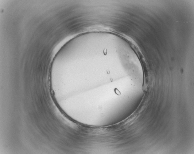 X0000052541387200507221414