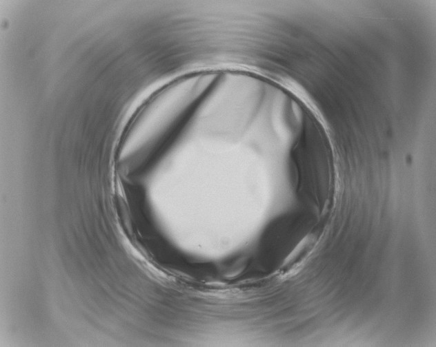 X0000052541388200507221414