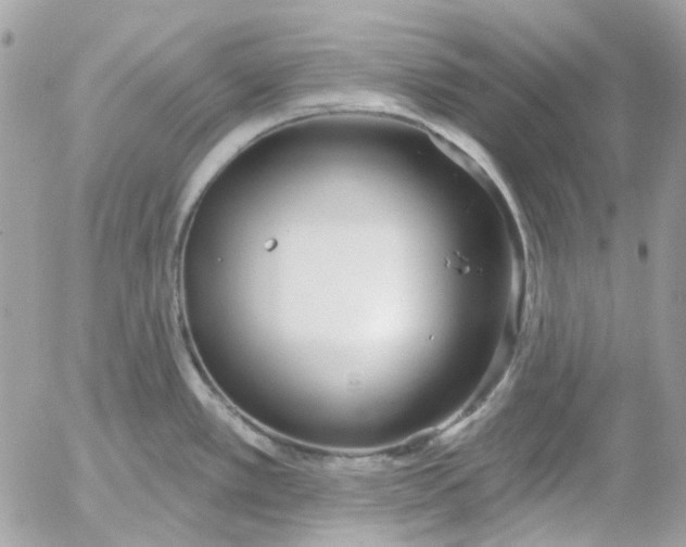 X0000052541389200507221414