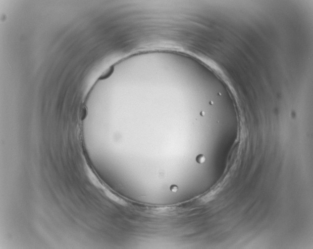 X0000052541390200507221414