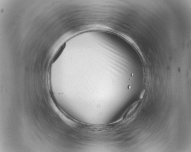 X0000052541391200507221414