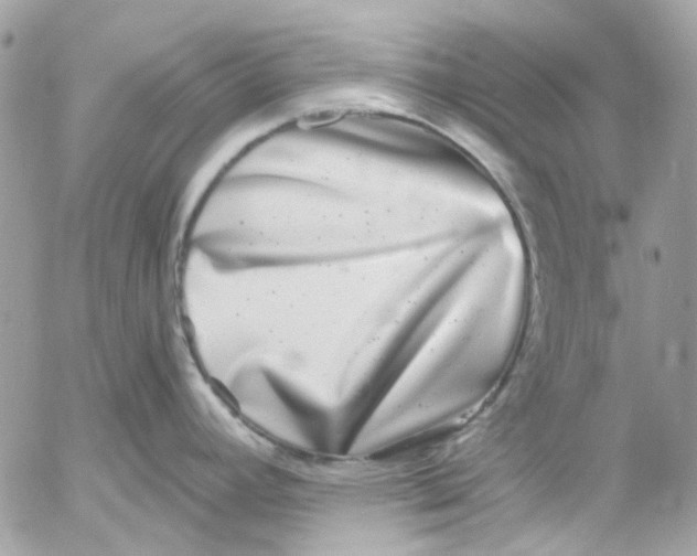 X0000052541392200507221414