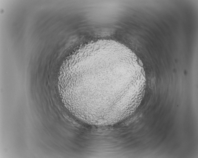 X0000052541393200507221414