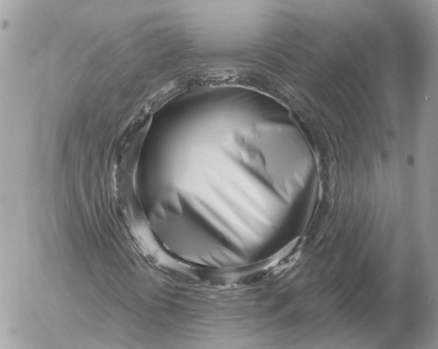 X0000052541394200507221414