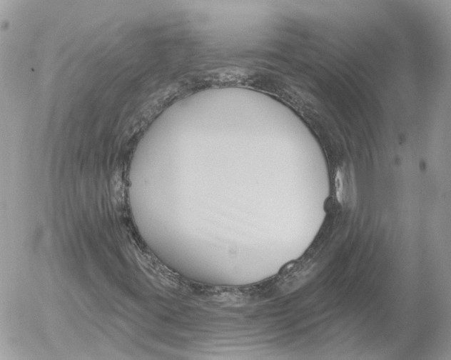 X0000052541395200507221414