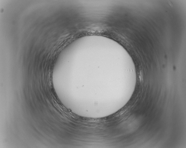 X0000052541396200507221414