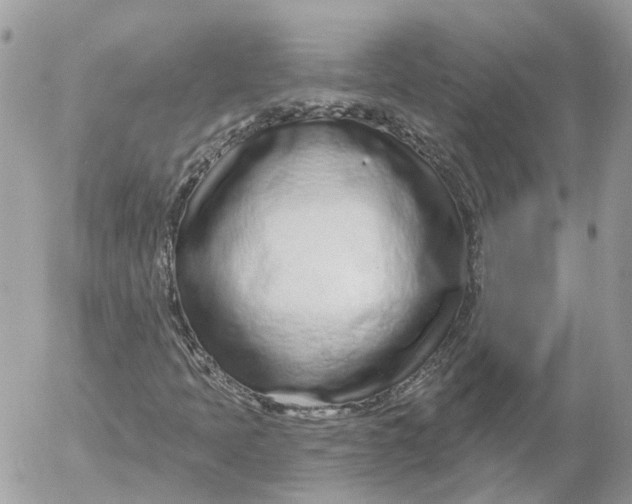 X0000052541397200507221414