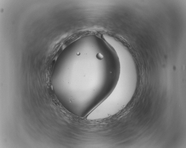 X0000052541398200507221414