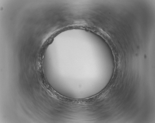 X0000052541400200507221414