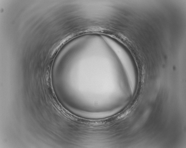 X0000052541401200507221414