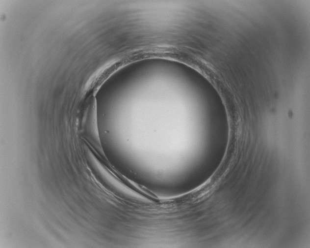 X0000052541402200507221414