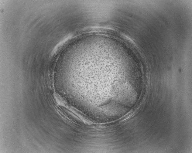 X0000052541403200507221414