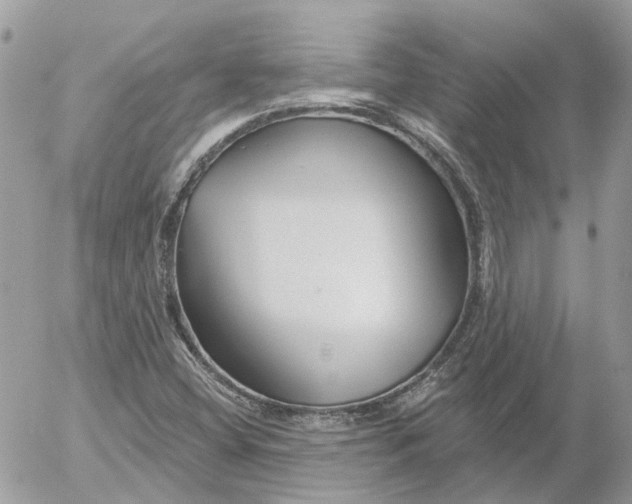 X0000052541404200507221414