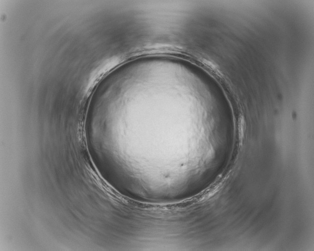 X0000052541405200507221414