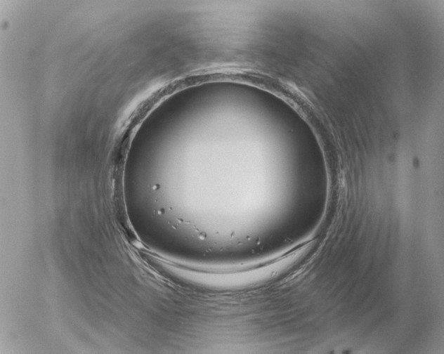 X0000052541406200507221414