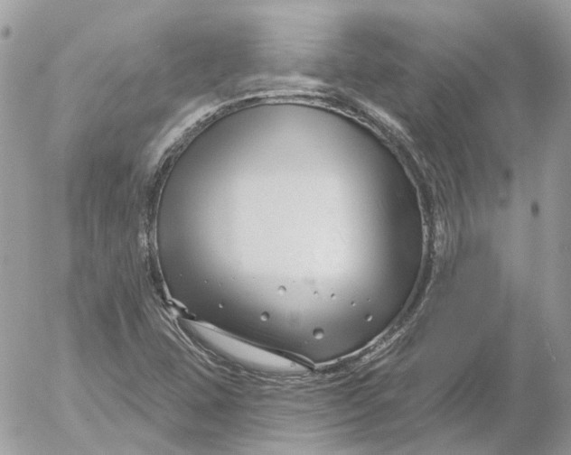 X0000052541407200507221414