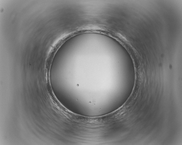 X0000052541408200507221414