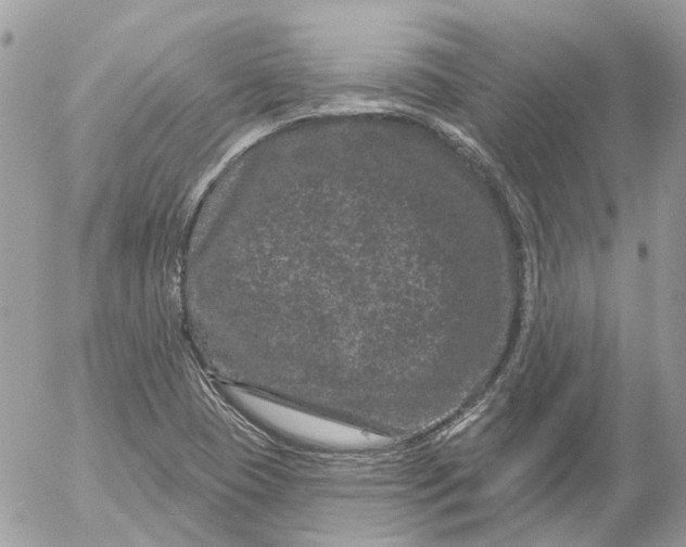 X0000052541409200507221414