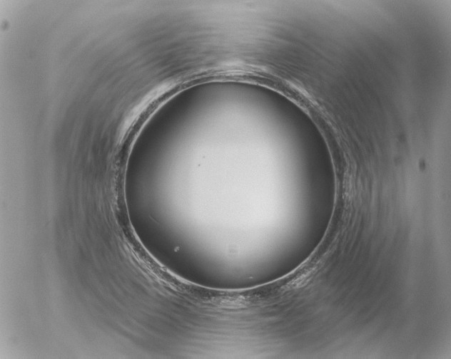 X0000052541410200507221414