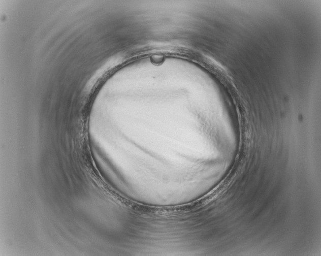 X0000052541411200507221414