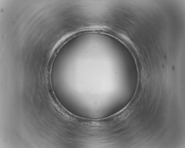 X0000052541412200507221414