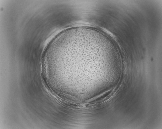 X0000052541415200507221414