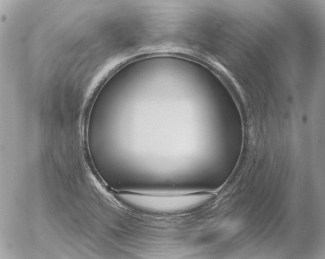 X0000052541416200507221414