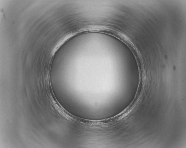 X0000052541417200507221414