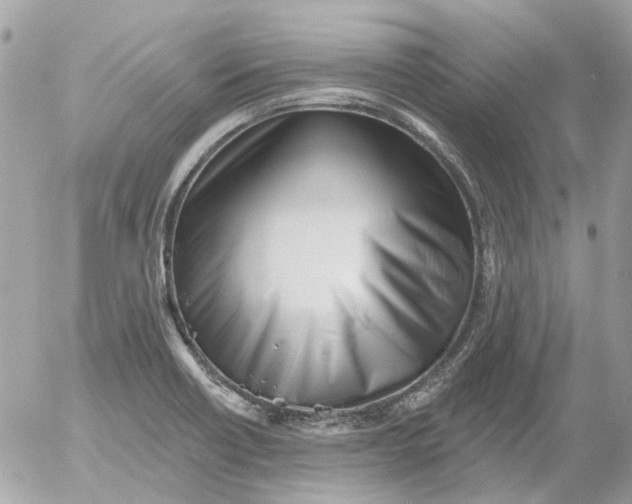 X0000052541418200507221414