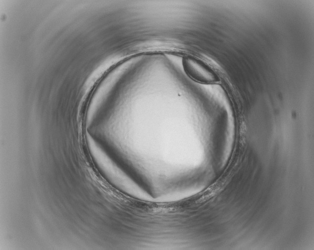 X0000052541419200507221414