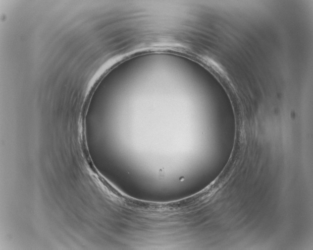 X0000052541420200507221414