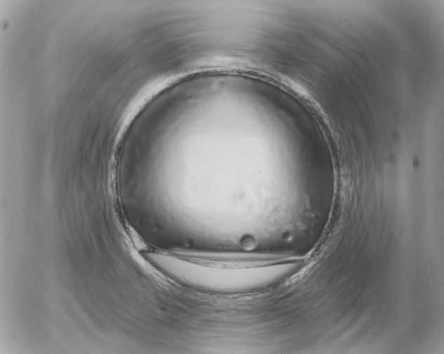 X0000052541421200507221414