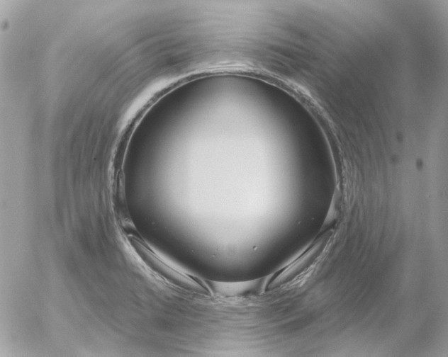 X0000052541422200507221414