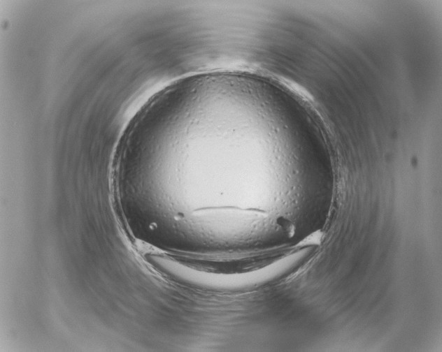 X0000052541423200507221414