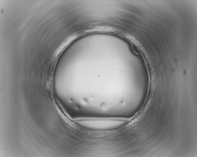 X0000052541425200507221414