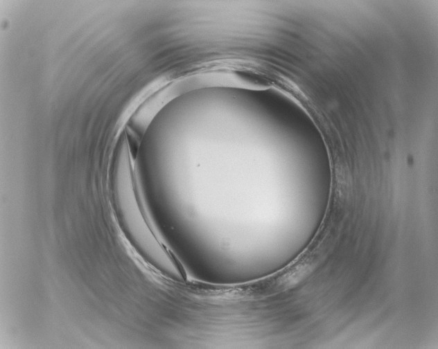 X0000052541426200507221414