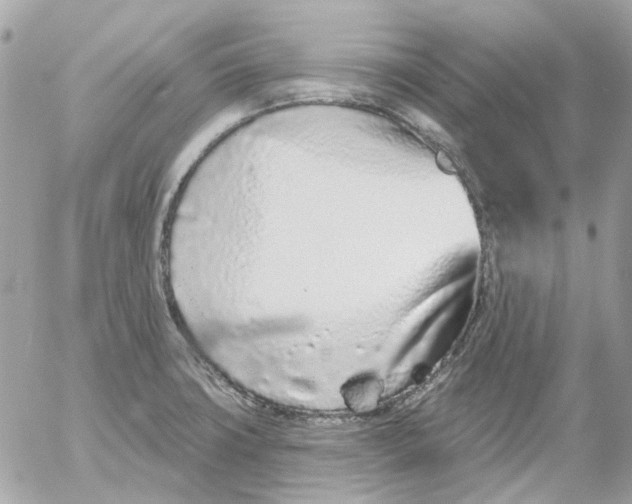 X0000052541427200507221414