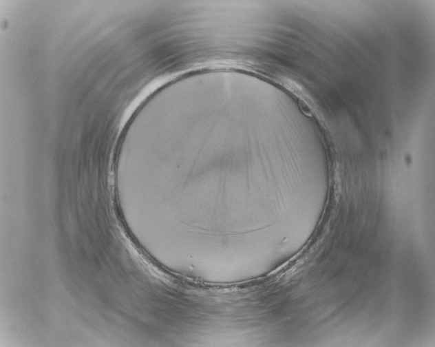 X0000052541428200507221414