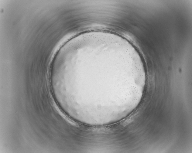 X0000052541429200507221414