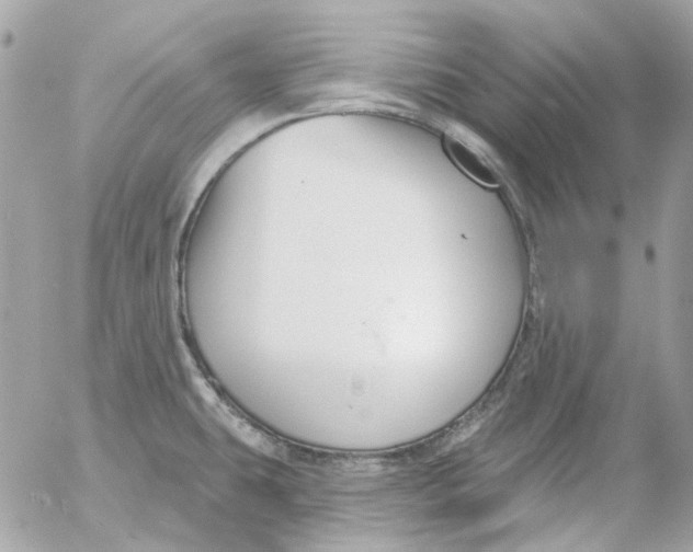 X0000052541431200507221414