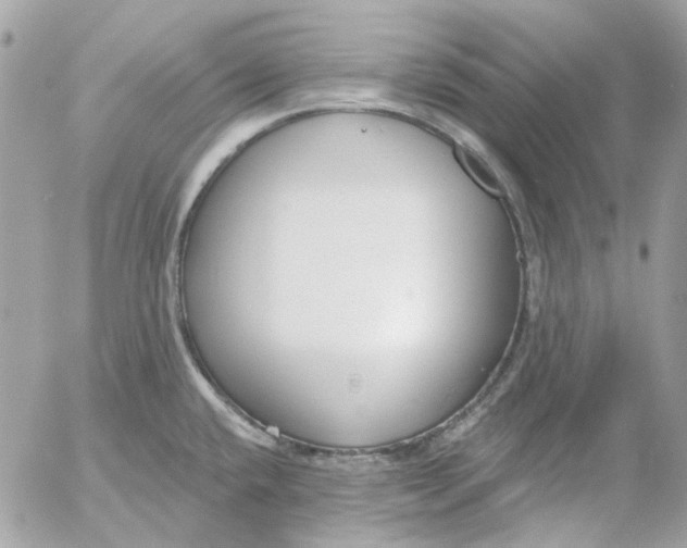 X0000052541432200507221414