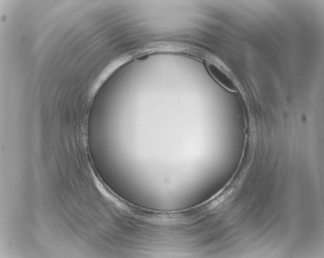 X0000052541433200507221414