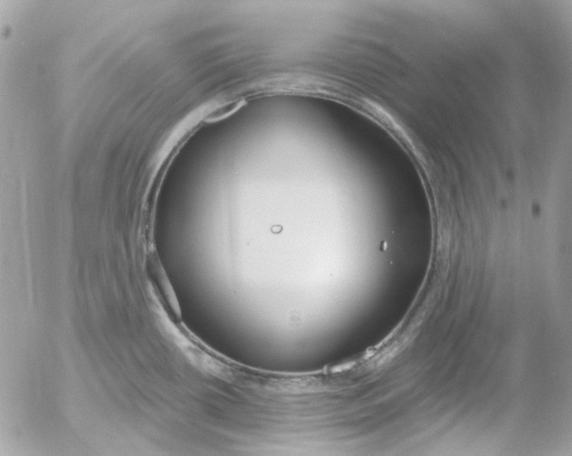 X0000052541434200507221414