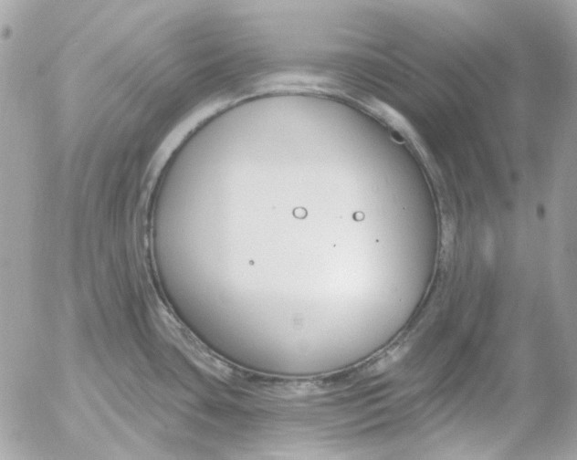 X0000052541435200507221414