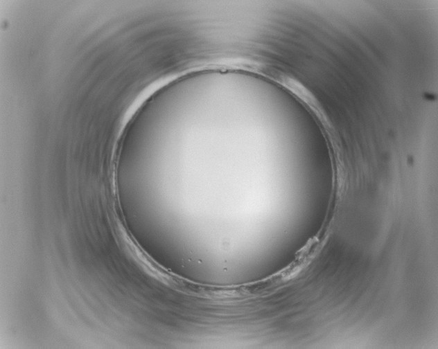 X0000052541436200507221414