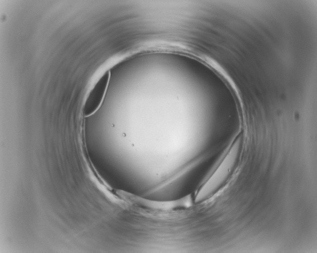 X0000052541437200507221414