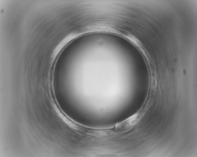 X0000052541438200507221414